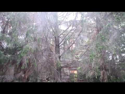 Усадьба Анненковых в с. Анненково-Лесное, Майнский р-н 2019